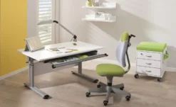 PAIDI Kinder-und Jugenddrehstuhl Pepe 6 PAIDI Kinder-und Jugenddrehstuhl Pepe -Hoffner 10357339 4 201906282233