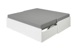 PAIDI Universalliege Flynn -Hoffner 12116957 3 202505201528