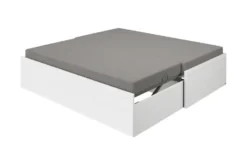 PAIDI Universalliege Flynn -Hoffner 12116957 4 202505201528