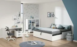 PAIDI Universalliege Flynn