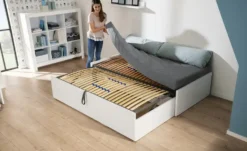 PAIDI Universalliege Flynn -Hoffner 12116957 8 202505201528