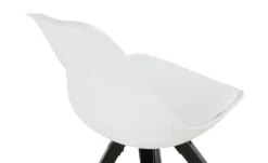 Kunstleder-Schalenstuhl Charles -Hoffner 14303030 7 202006091054