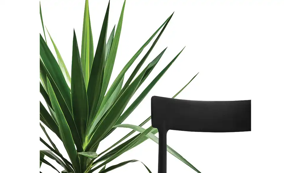 Connubia Stuhl Stapelbar Argo 1 Connubia Stuhl Stapelbar Argo