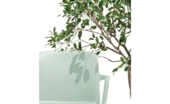 Connubia Stuhl Stapelbar Bayo -Hoffner 15304886 5 202111152233