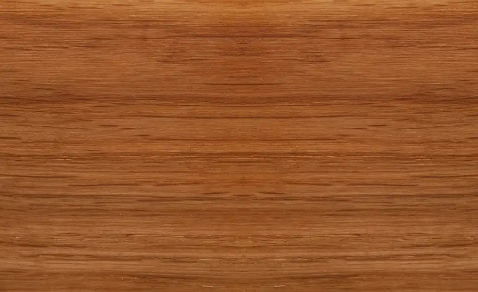 Dine + Mine Armlehnstuhl Mit Massivholzgestell Corby 5 Dine + Mine Armlehnstuhl Mit Massivholzgestell Corby – Bild 5