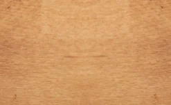 Dine + Mine Armlehnstuhl Mit Steppung Im Rücken Nador 14 Dine + Mine Armlehnstuhl Mit Steppung Im Rücken Nador -Hoffner 15306719 4 202207081237