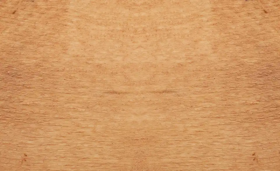 Dine + Mine Armlehnstuhl Mit Steppung Im Rücken Nador 4 Dine + Mine Armlehnstuhl Mit Steppung Im Rücken Nador – Bild 4