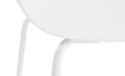 Connubia Schalenstuhl Academy -Hoffner 15308958 5 202409051237