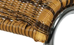 Freischwinger Gérard -Hoffner 40300098 3 202302011238