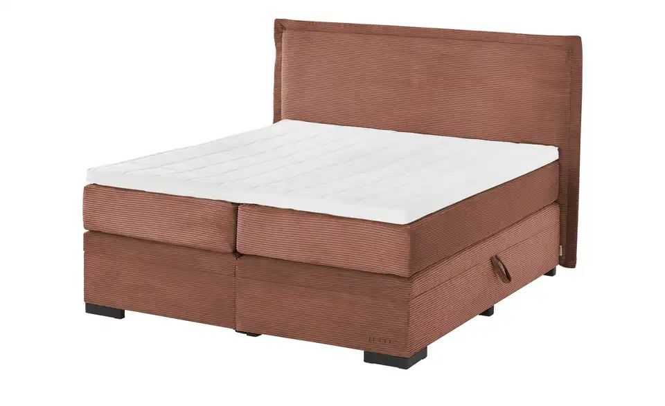 Jette Home Boxspringbett Mit Bettkasten Adapt 4 Jette Home Boxspringbett Mit Bettkasten Adapt – Bild 4