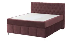 Jette Home Boxspringbett Glam New 14 Jette Home Boxspringbett Glam New -Hoffner 50123361 8 202412172351
