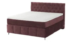 Jette Home Boxspringbett Glam New 21 Jette Home Boxspringbett Glam New -Hoffner 50123361 9 202412172351